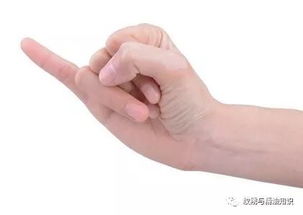 小拇指指节看性格(拇指形状与性格)