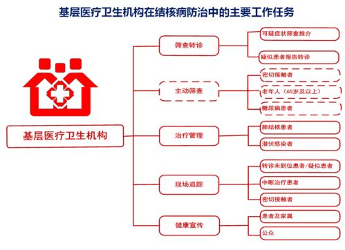 图图是道系列 二 一图画出结核病防治有关机构的工作任务