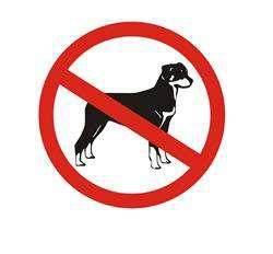 城市禁养犬种名单,中华田园犬也上榜了,这个备注让人心酸