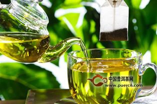 喝绿茶真的好 关于绿茶的15个知识你都知道吗