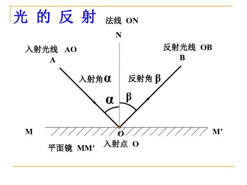 光的反射和折射 第一课时 反射下载 科学 