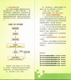 城乡居民医疗保险宣传画册妇科诊所搞活动营销方案范文