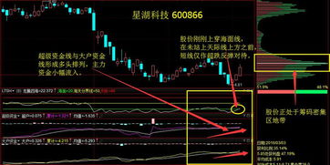 歌尔声学股票 这几天跌的这么厉害