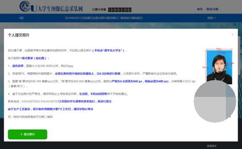 学信网照片怎么自己拍(学信网照片怎么拍照)