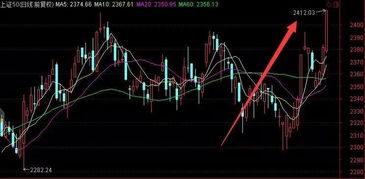 跌跌不休的熊市下;熊市价值投资的春天第二部在线阅读