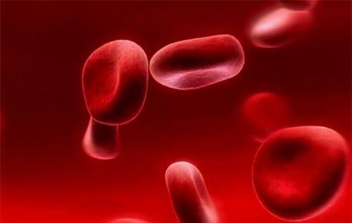 全球仅一例 能救所有人的稀有血型,2017年在江苏被发现