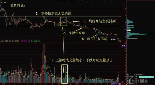 中国股市 为什么散户总是拿不住一只好股票 散户战胜并不难