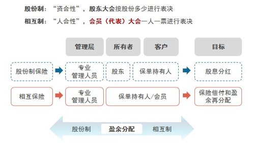 买什么基金比较保险呢