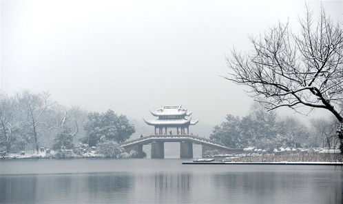 西湖四季景不同 春 