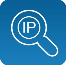 你知道什么是超级IP吗