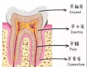 武汉一个月的工资不够看牙 这样做看牙很便宜