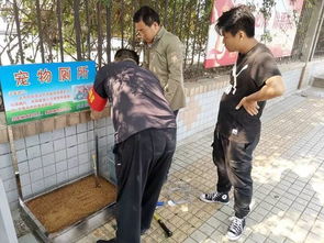 潍坊街头现 宠物专用厕所 ,真是太 汪性化 了