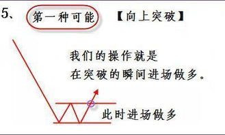 到大学读什么专业和炒股票有关？