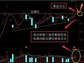 人家怎么在开盘以后就能知道这只股票今天能涨到哪 能跌到哪 这是怎么分析的