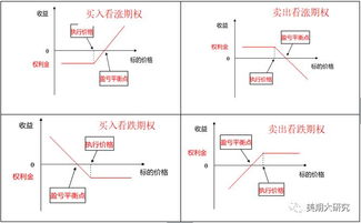 什么情况下买入看涨期权？