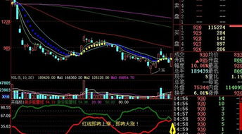 股票买进以后会存在那里，怎样查看？