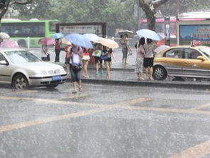 做梦梦见突然下大雨是什么意思 周公解梦 