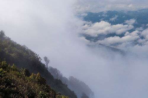 峨眉山在2005年12月下旬的天气情况 