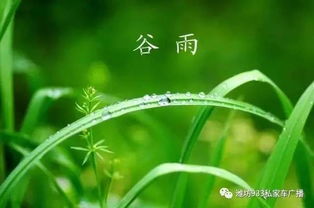 谷雨好时节,养生从这四方面入手 