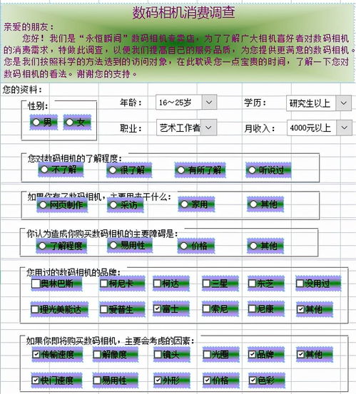 调查计划方案模板(调查计划内容)