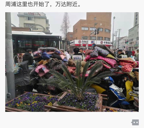 如何看待上海禁止电动车挡风装置并设卡罚款 