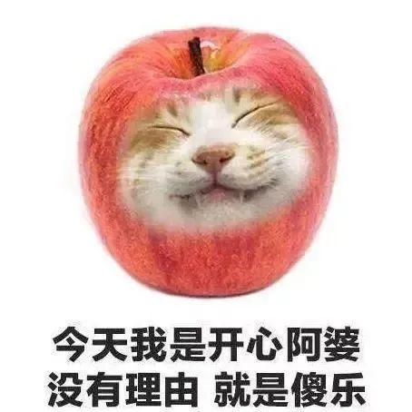 我是谁的苹果(这是谁的苹果)