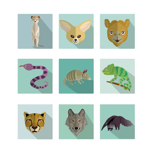 脊椎动物亚门 爬行动物 卡通图像 长投影图标 UI动物图标设计AI ti069a25110 Y1207待整理 