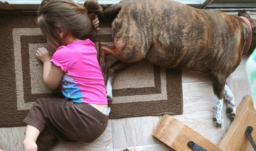 陪伴小女孩一起成长的狗狗,不仅是靠枕还是画板,更是亲密的伙伴