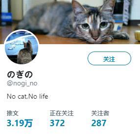 猫的本质是液体 老板,来一杯猫 