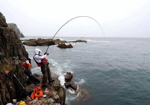 中国十大海钓圣地,中国十大最佳钓鱼地