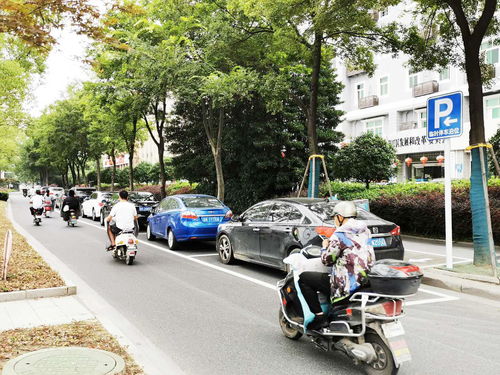 这些路边新画停车位可以停了吗收费吗 回应来了 