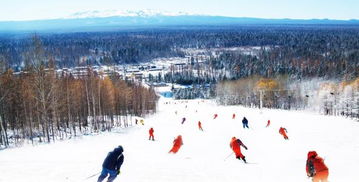 沈阳怪坡国际滑雪场门票 含单板,双板