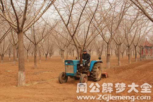 梦见松土是什么意思 梦到松土好不好 大鱼解梦网 