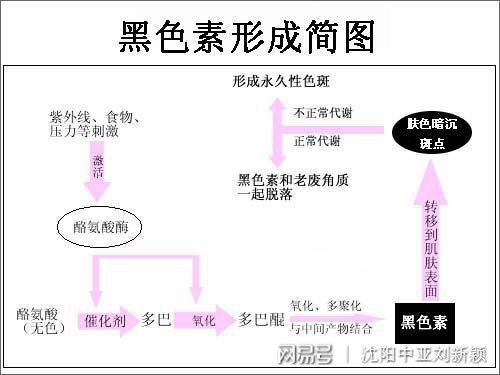 晕痣型白癜风与其他的有什么区别吗