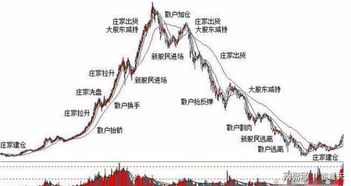 股票中庄家资金哪里来？？？借的吗？庄家坐庄完成后有多少回报？几千？几万？还是。。。