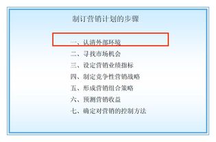 如何有效制定与执行营销计划 模板与执行指南 