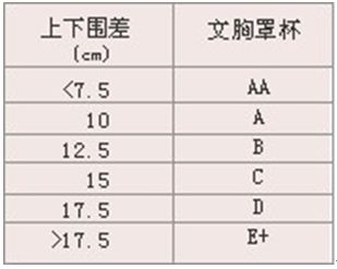 AA CUP是什么东西 