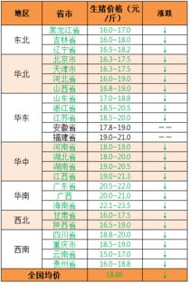 2019年11月11日 大范围回调,猪价偏弱调整