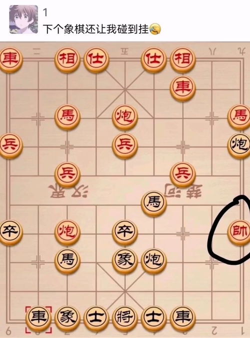 下个象棋还让我碰到挂 