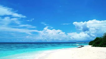 马尔代夫圆形岛海洋中的绝美之地