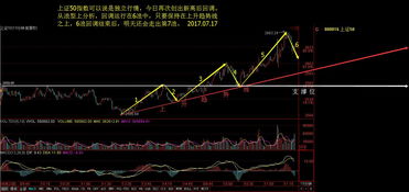 股票中第一个字以鲁开始的有那些