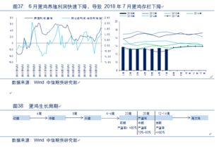 农产品后市如何操作？