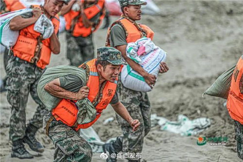 扛沙袋 垒土石 填缺口 向抗洪勇士致敬 