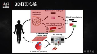 换脸 换脑子 卖肾,3D打印器官的现实需求 