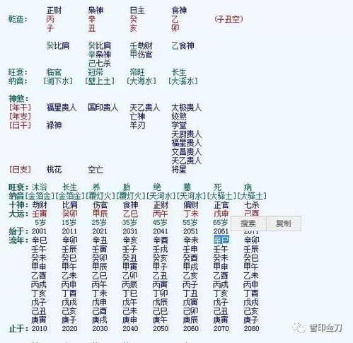 一代文豪苏轼八字赏析