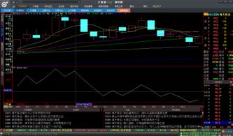 谁知道这六条线各代表什么意思啊？为什么有两条白线？还有下面这条白线是什么意思