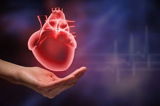 先天性心脏病的原因，引起先天性心脏病的原因有哪些