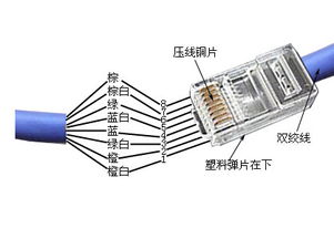 如图,这两种网线的颜色怎么对应 