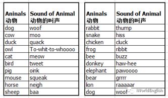 小朋友们 唱英文儿歌,轻松学会动物名称 