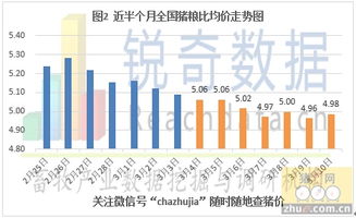 生猪价格上涨超过4%，菜粕价格下跌超过2%